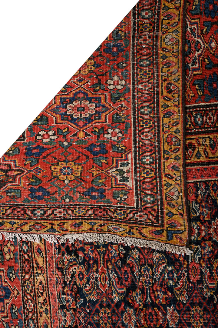 AINSLEE Antique Farahan 535x355cm