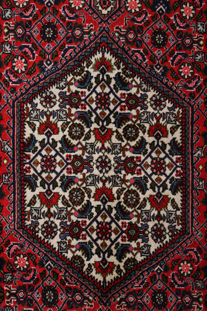 MACEY Bidjar 237x155cm