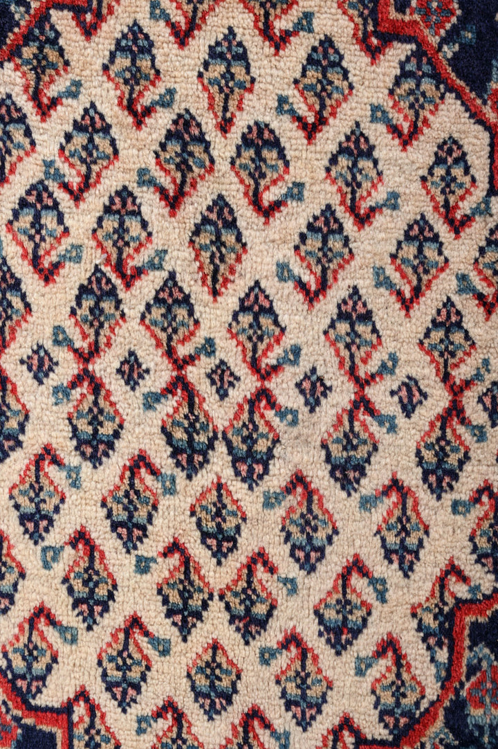 DECLAN Sarouk Mir 306x215cm