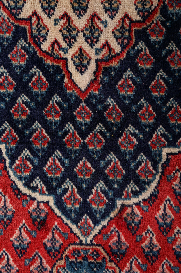 DECLAN Sarouk Mir 306x215cm
