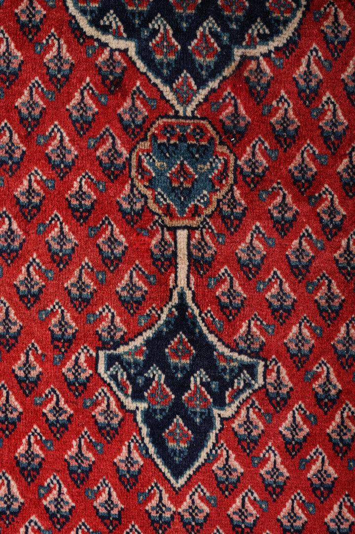 DECLAN Sarouk Mir 306x215cm