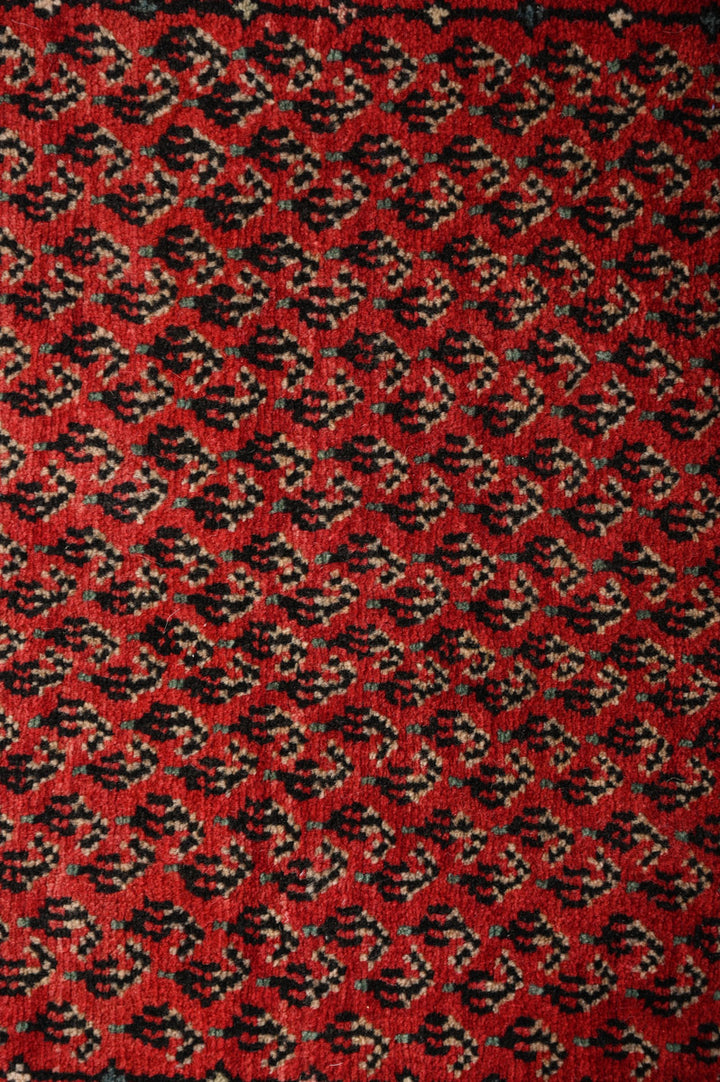 FABIOLA 1 Sarouk Mir Runner 490x72cm