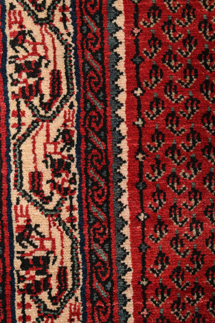 FABIOLA 1 Sarouk Mir Runner 490x72cm