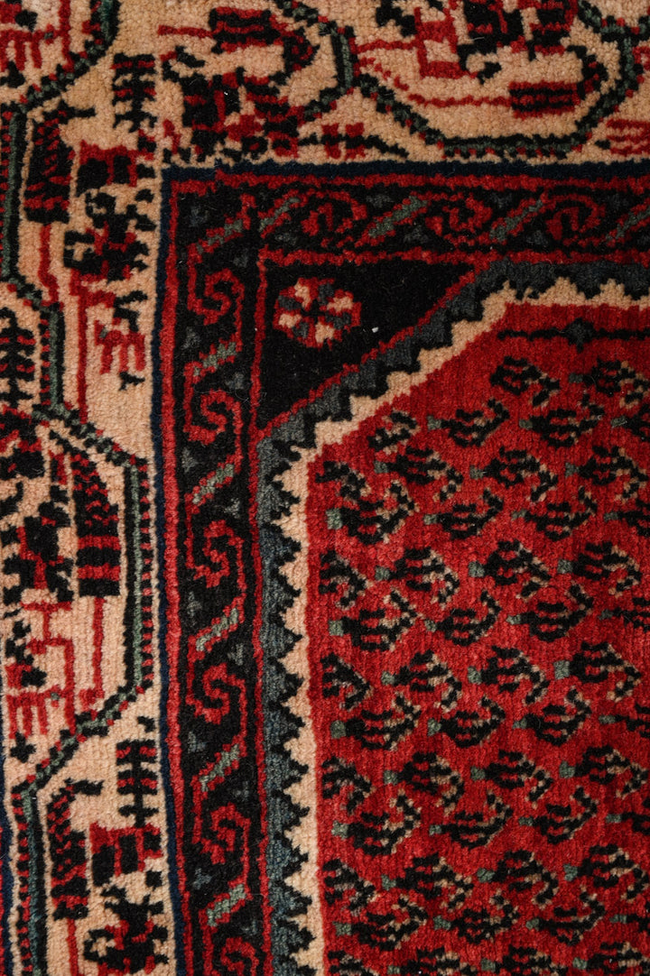 FABIOLA 1 Sarouk Mir Runner 490x72cm