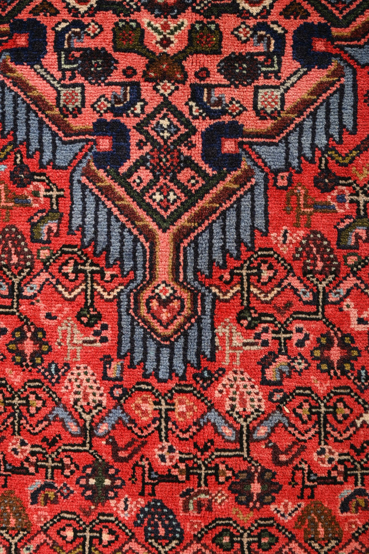 WOLF Tajabad 205x131cm