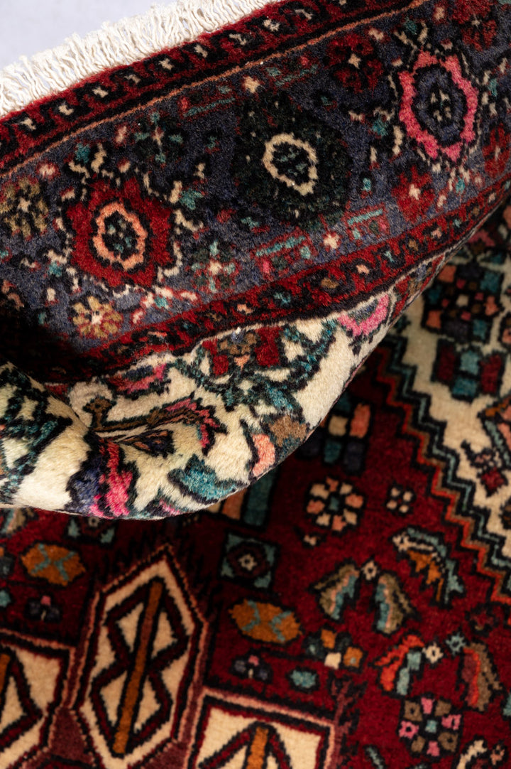 SAFA Qoltuq 125x80cm