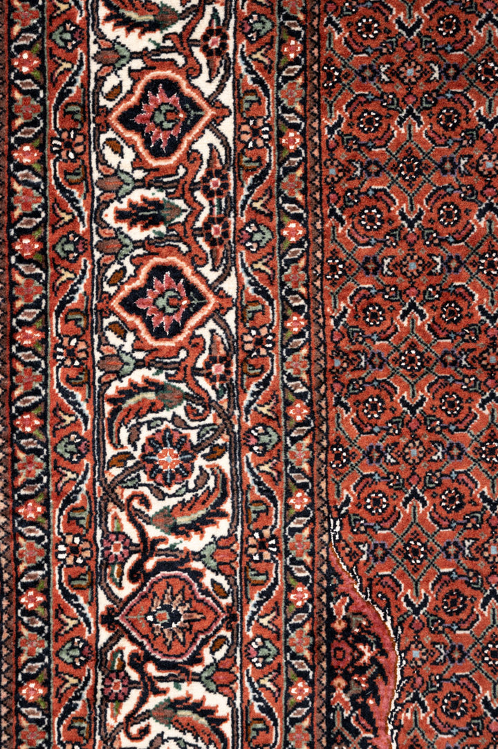 LEVI Bidjar 217x148cm