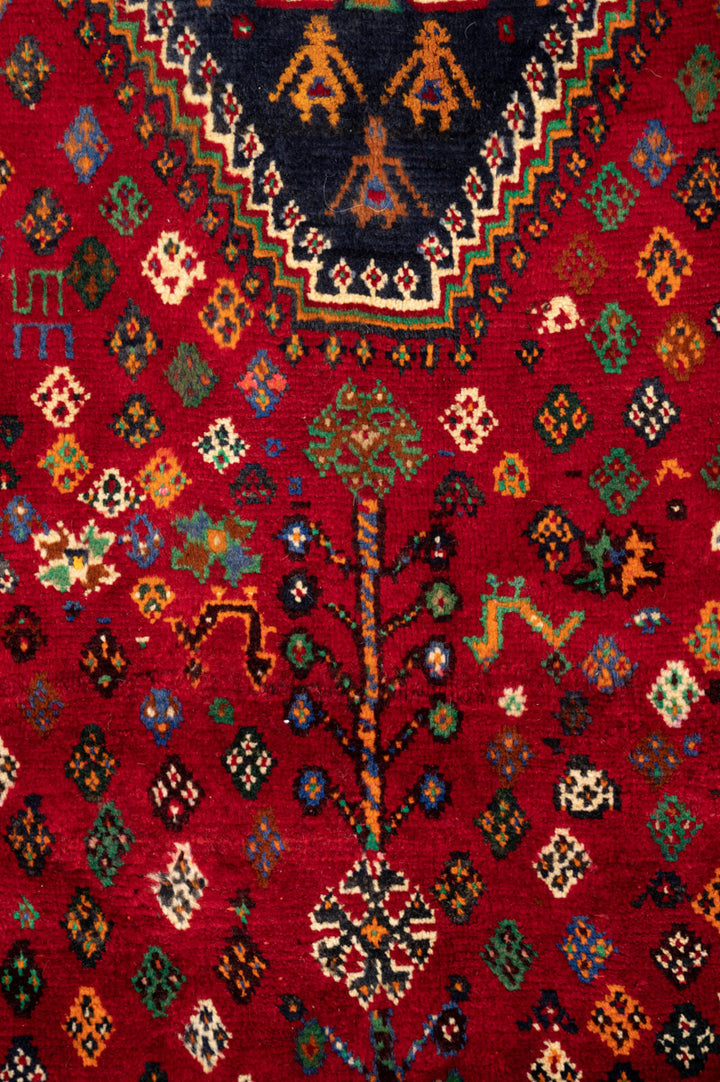 DAMA Qashqai 254x164cm