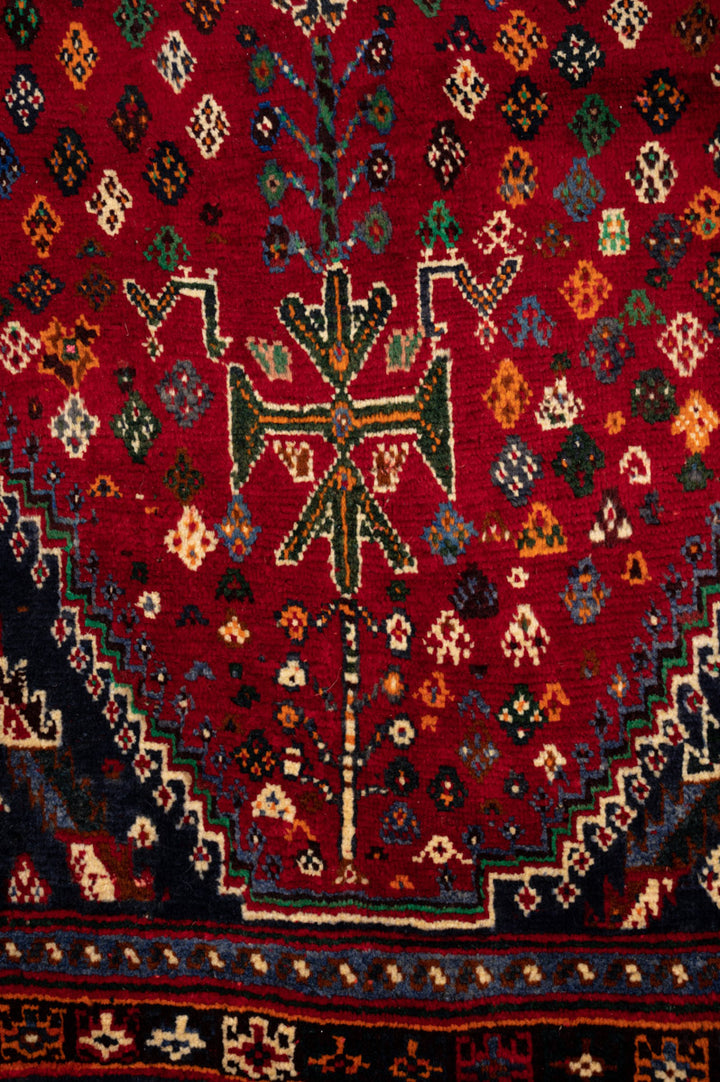 DAMA Qashqai 254x164cm
