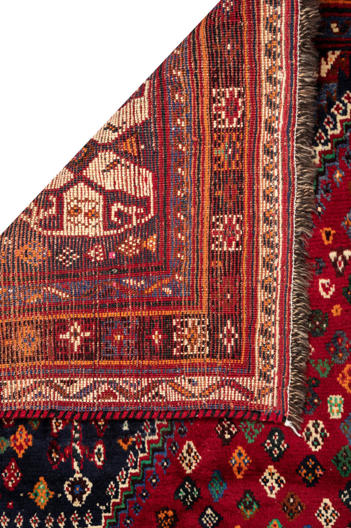 DAMA Qashqai 254x164cm