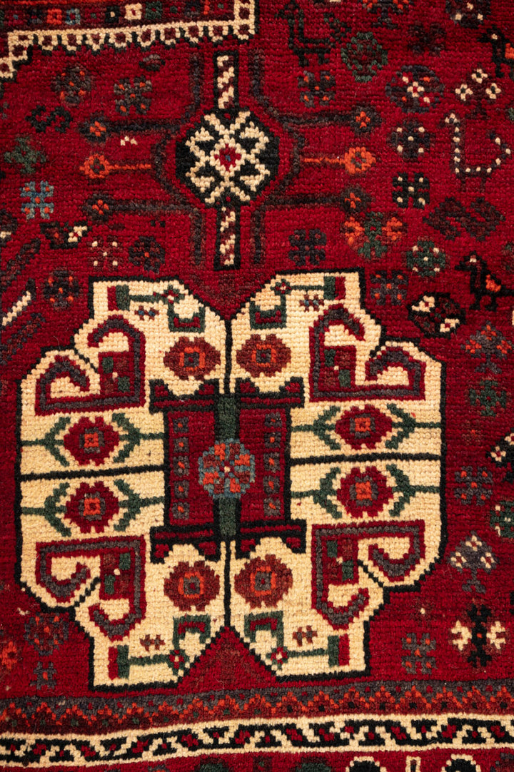 ZENA Qashqai 313x228cm
