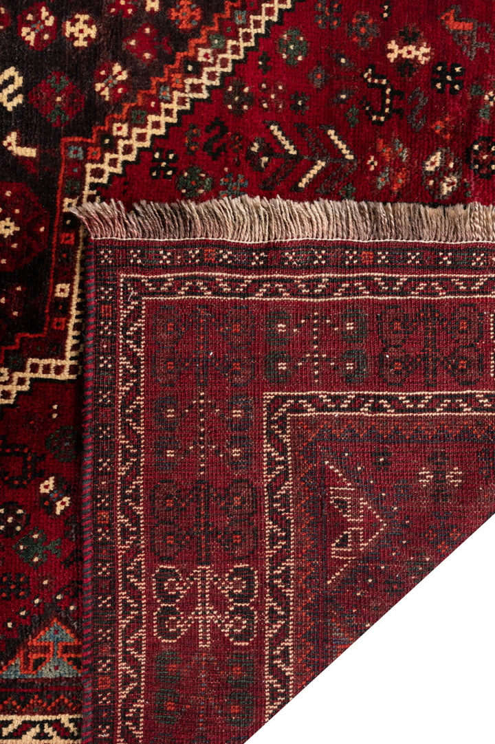 ZENA Qashqai 313x228cm
