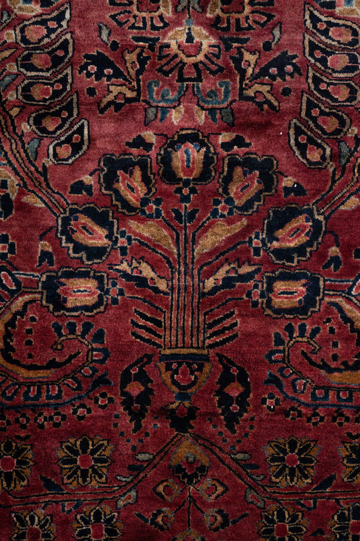 ERLINA Antique Sarouk 348x246cm