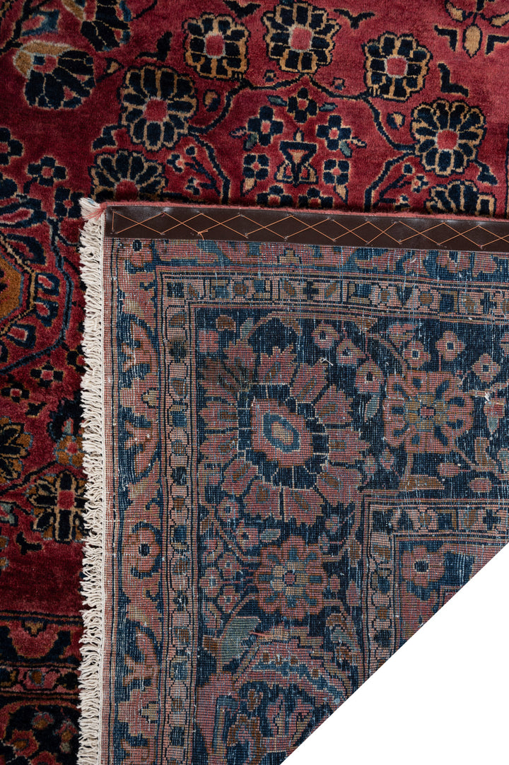 ERLINA Antique Sarouk 348x246cm