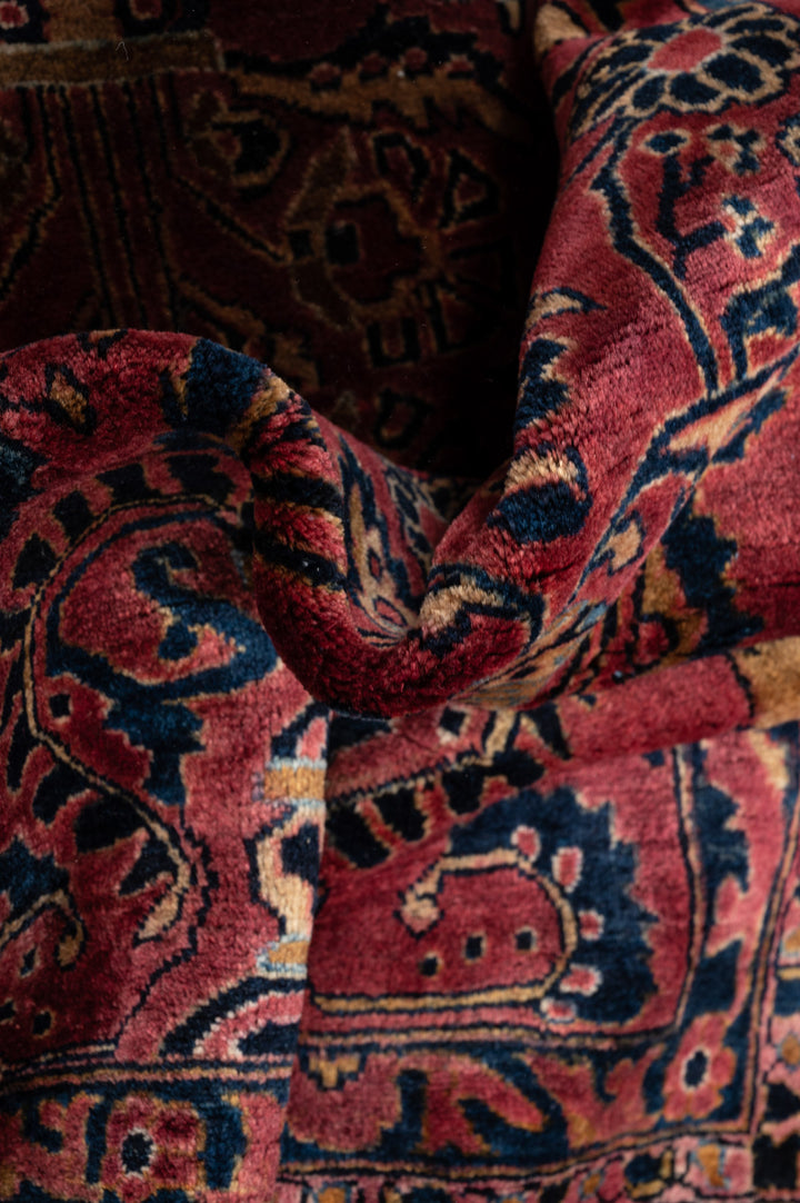 ERLINA Antique Sarouk 348x246cm
