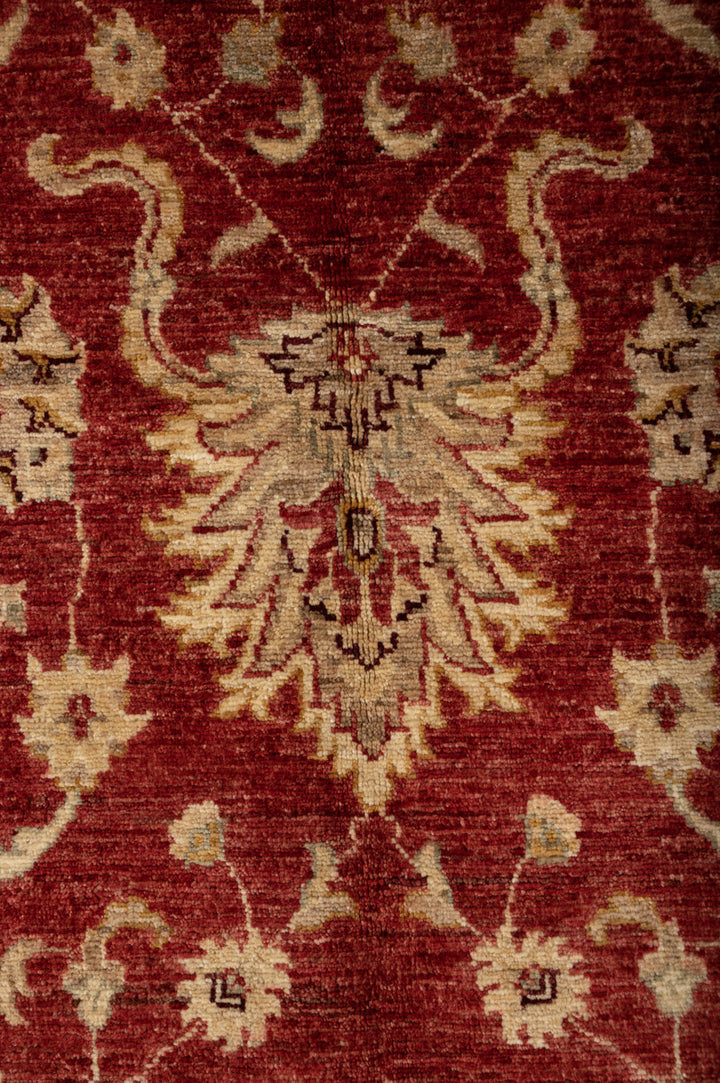 DILLY Ziegler Royal 304x233cm