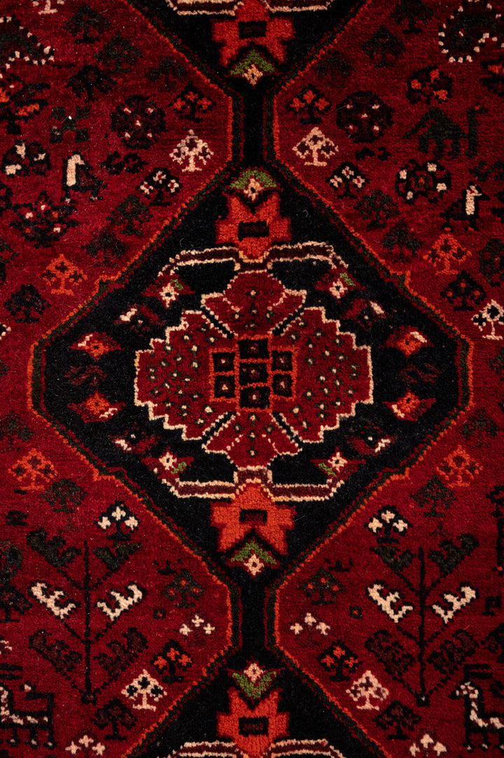 EVANGELINE Qashqai 316x225cm