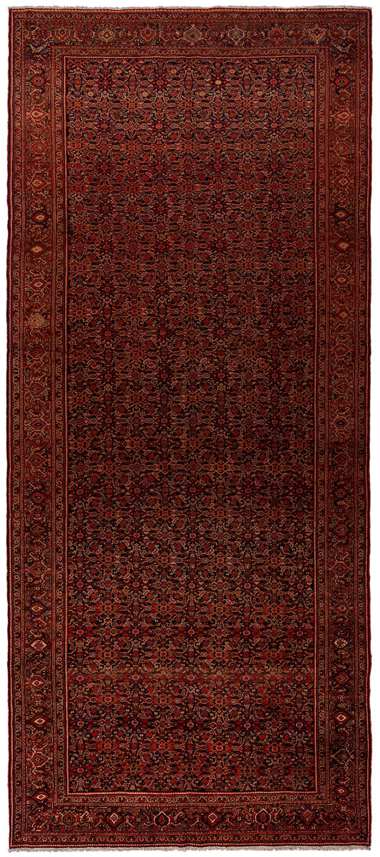 SEZAR Antique Farahan 490x204cm