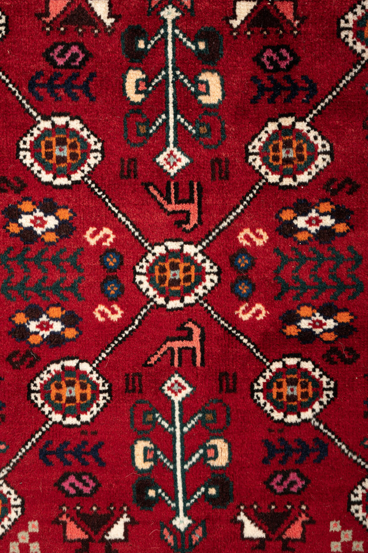 NOLA Qashqai 293x204cm