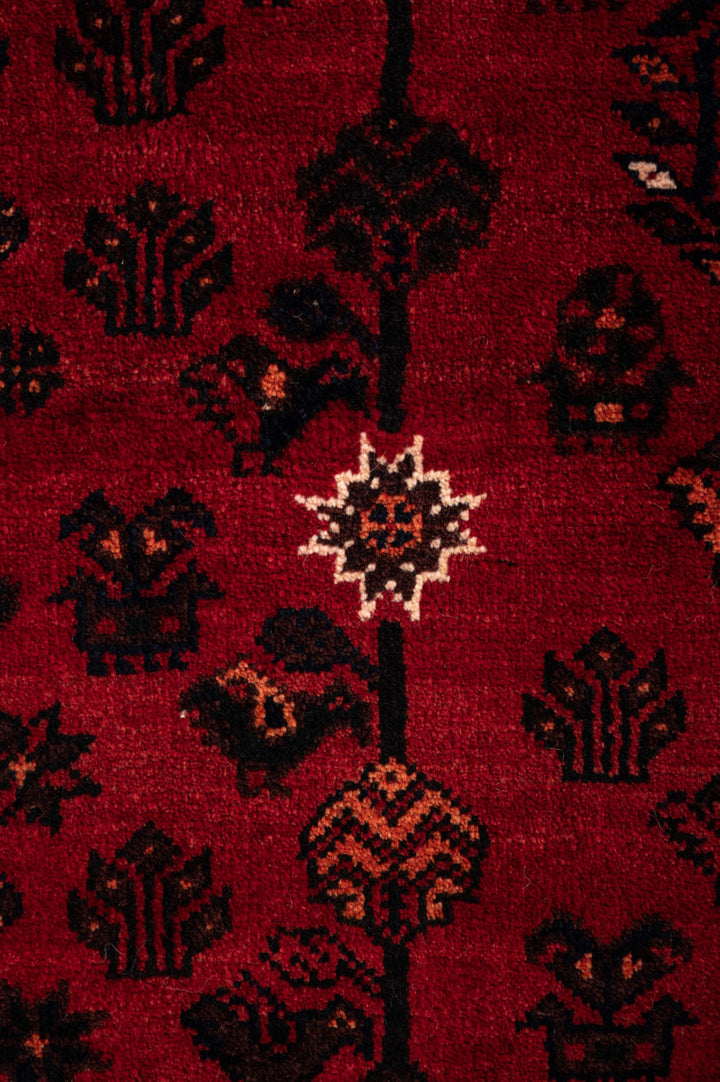 MONICA Qashqai 300x205cm