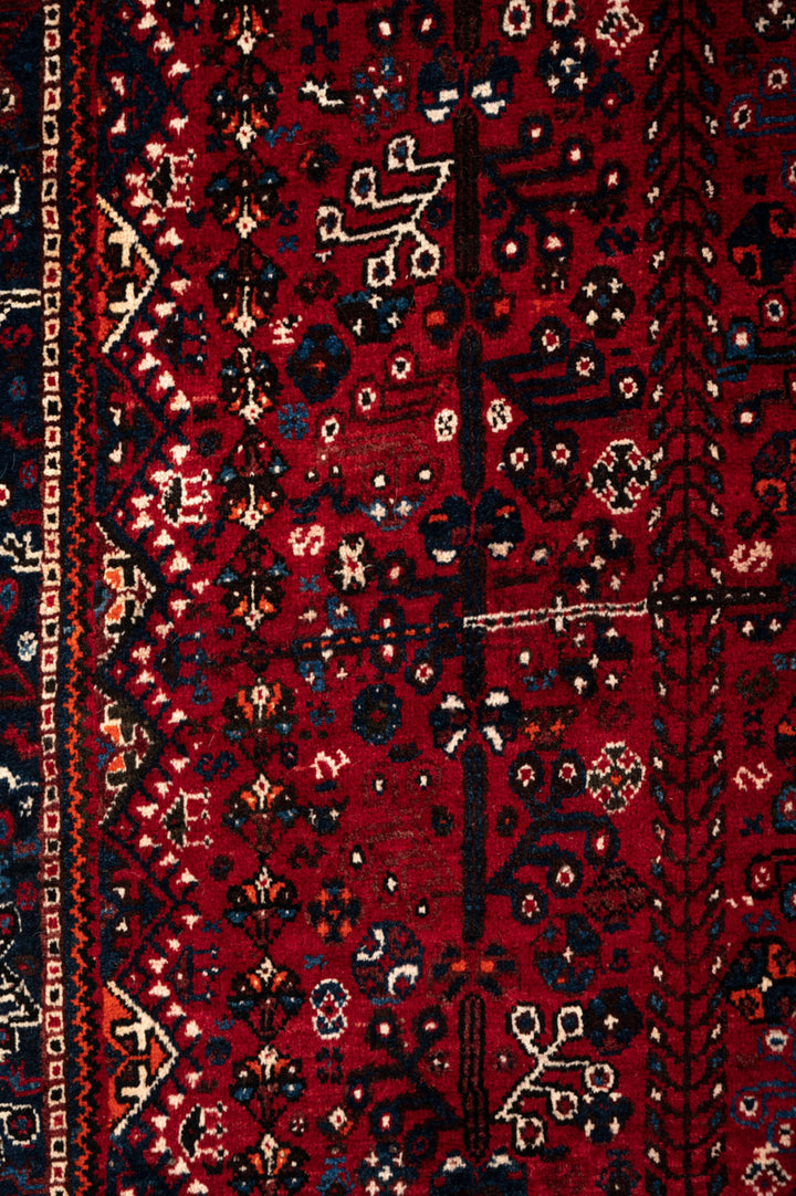 DARA Qashqai 288x225cm