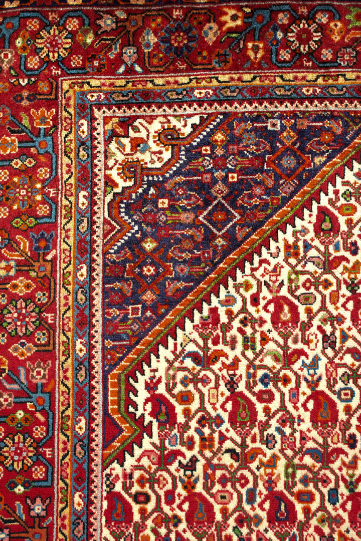 ALIVE Persian Malayer 157x106cm