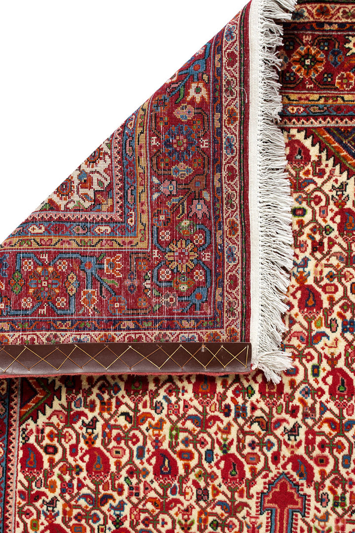 ALIVE Persian Malayer 157x106cm