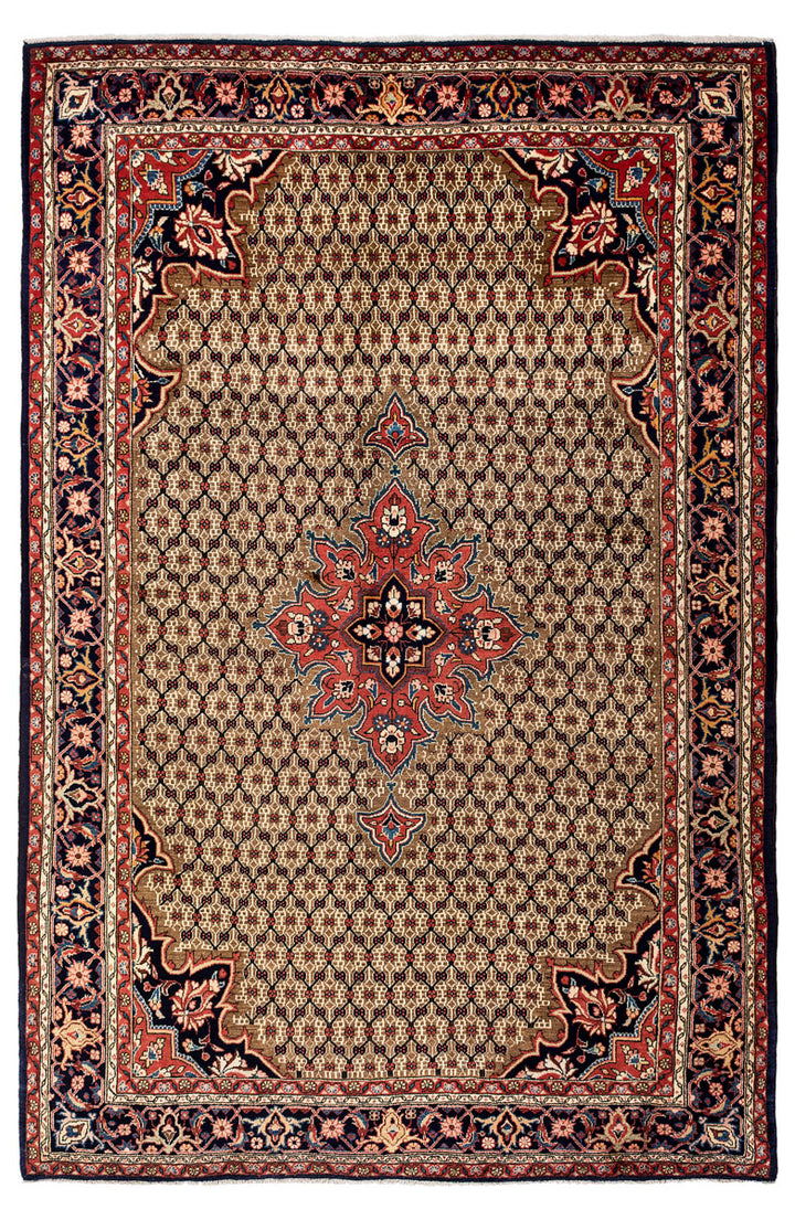 CIARA Persian Koliai 305x207