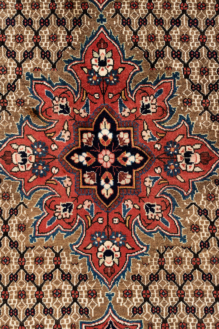 CIARA Koliai 305x207cm