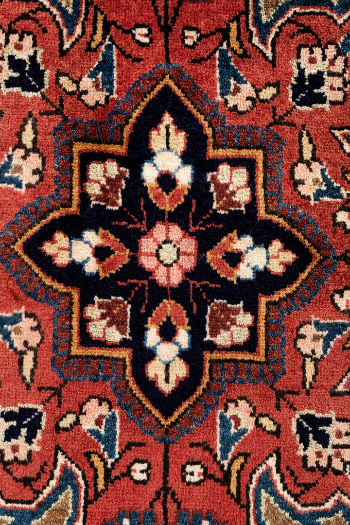 CIARA Koliai 305x207cm