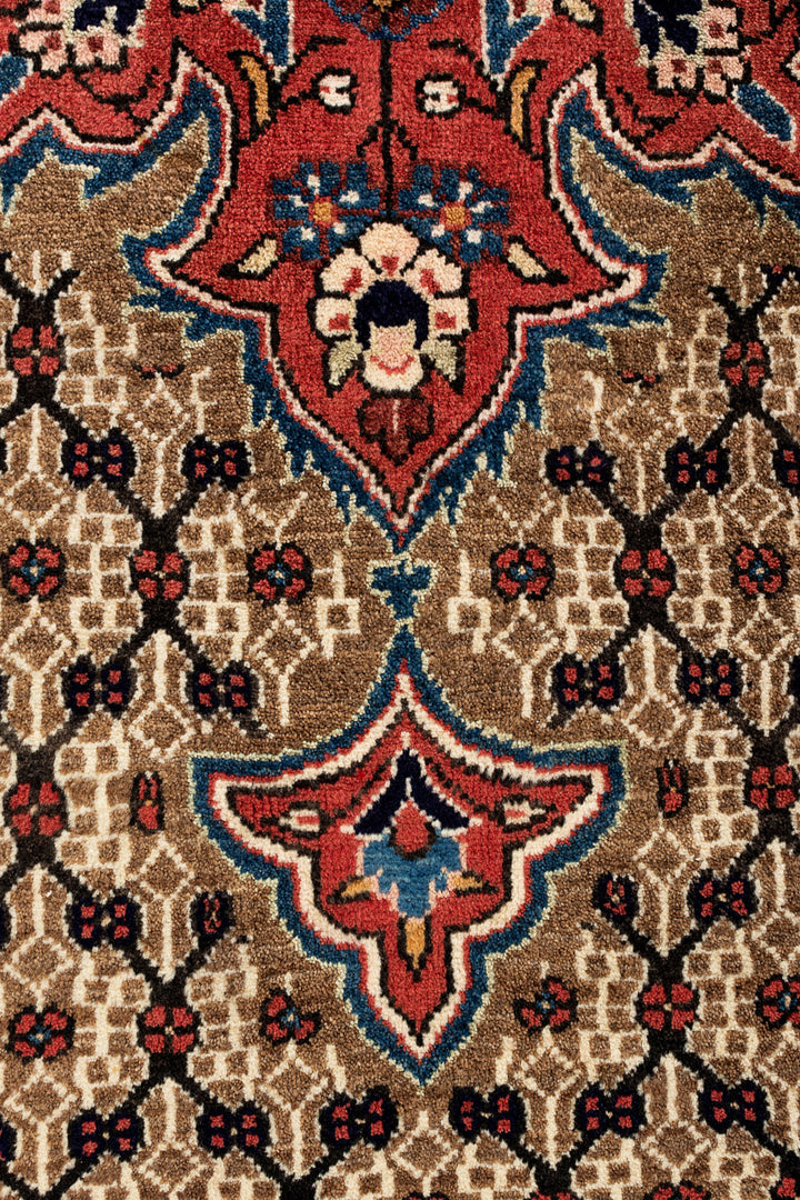 CIARA Koliai 305x207cm