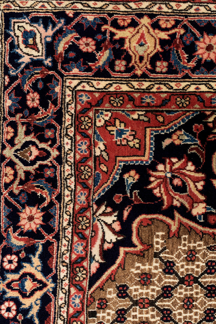 CIARA Koliai 305x207cm