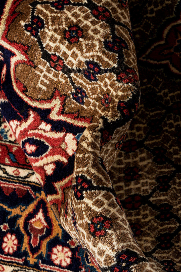 CIARA Koliai 305x207cm