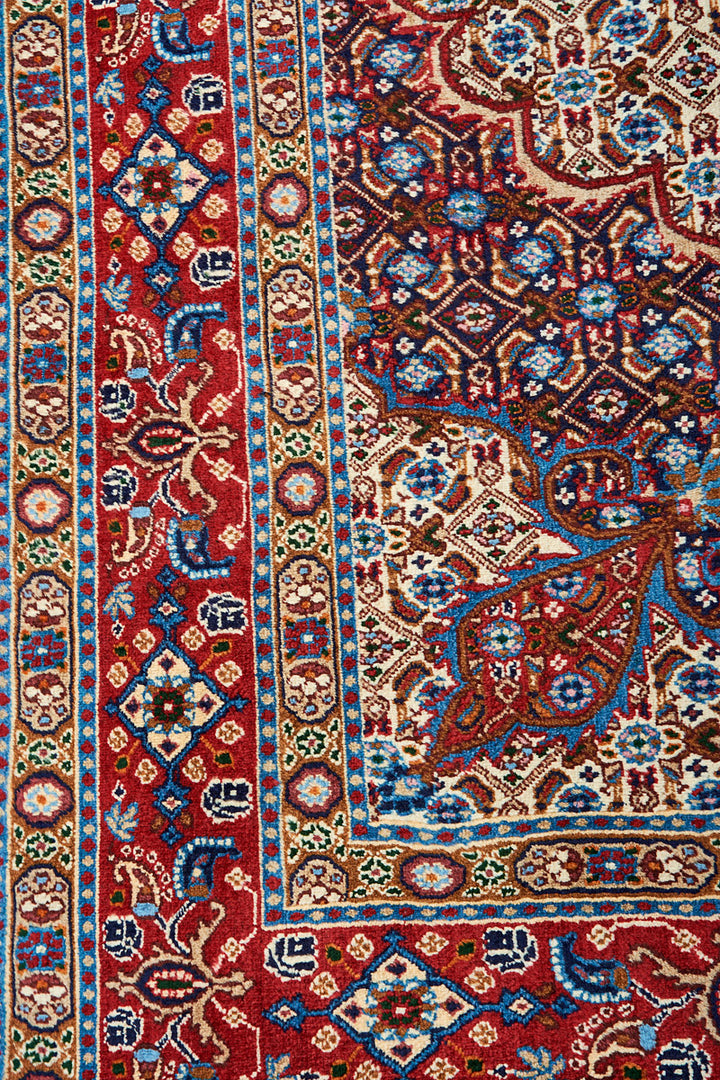 VEGA Moud 286x204cm
