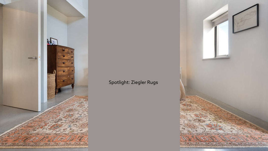 Spotlight: Ziegler Rugs