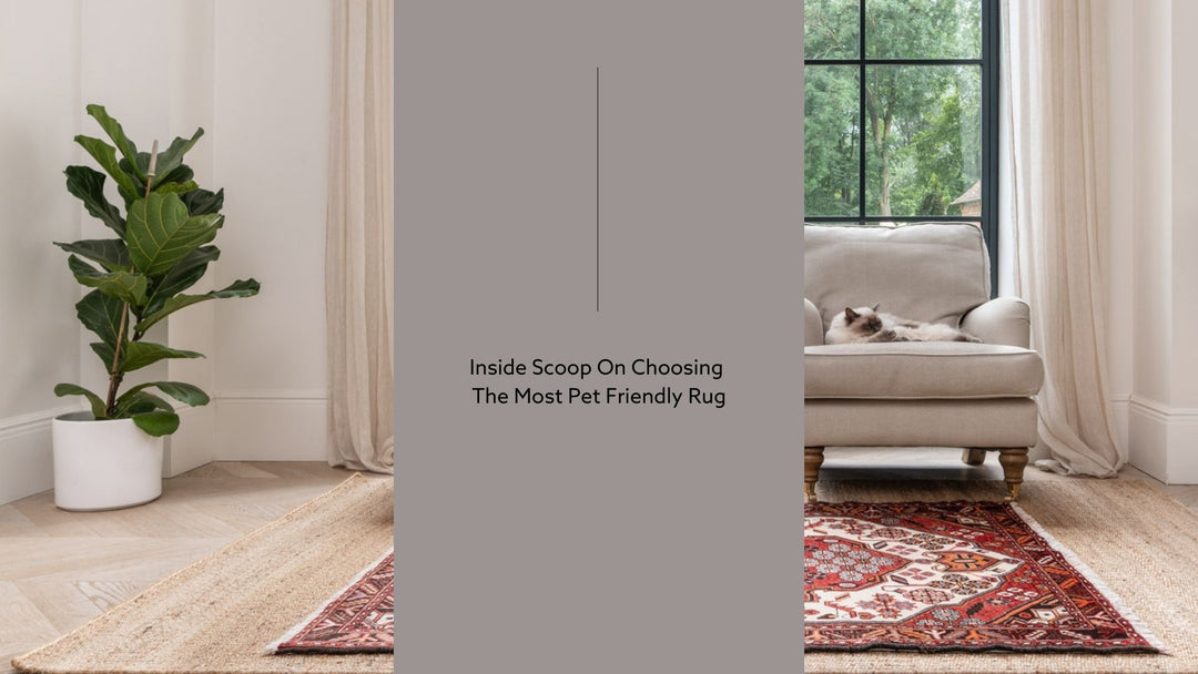 The Inside Scoop On Choosing The Most Pet Friendly Rug