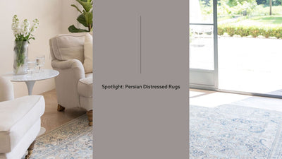 Spotlight: Persian Distressed Rugs