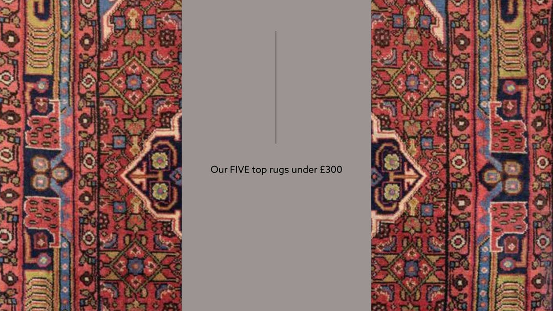 Our FIVE top rugs under £300