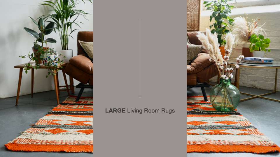 Large Living Room Rugs