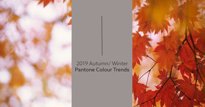 Trendwarnung: Pantone-Farben Herbst / Winter 2019