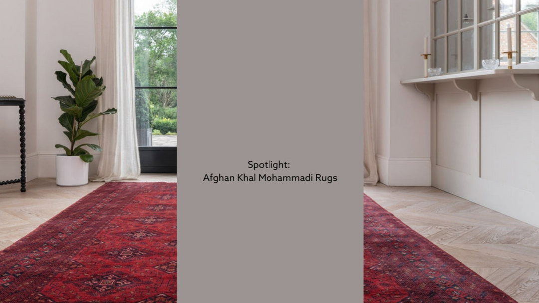Spotlight: Afghan Khal Mohammadi Rugs