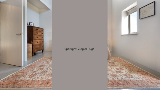 Spotlight: Ziegler Rugs