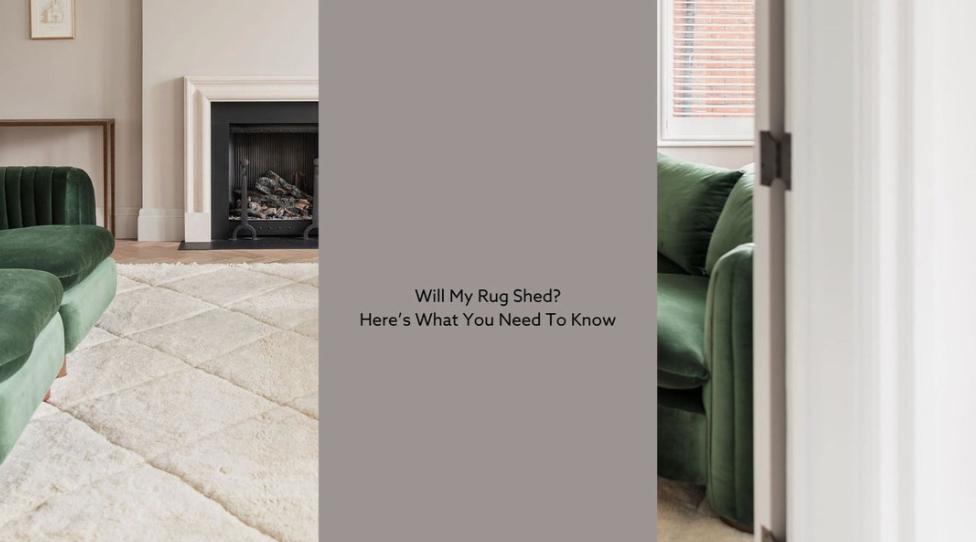 “Will My Rug Shed?” Here's What You Need to Know