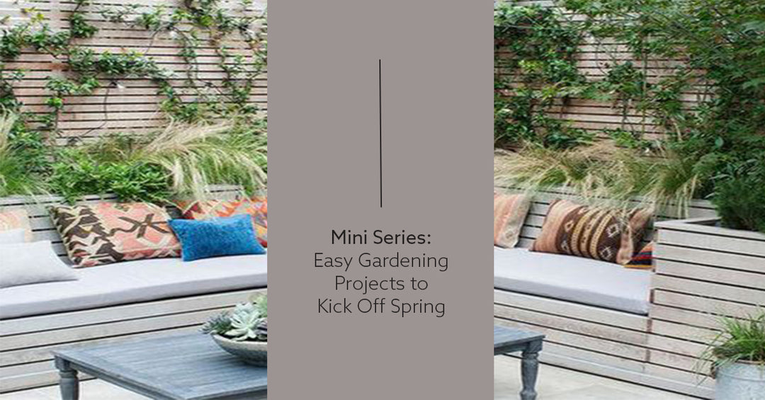 Mini Series: Easy Gardening Projects to Kick off Spring