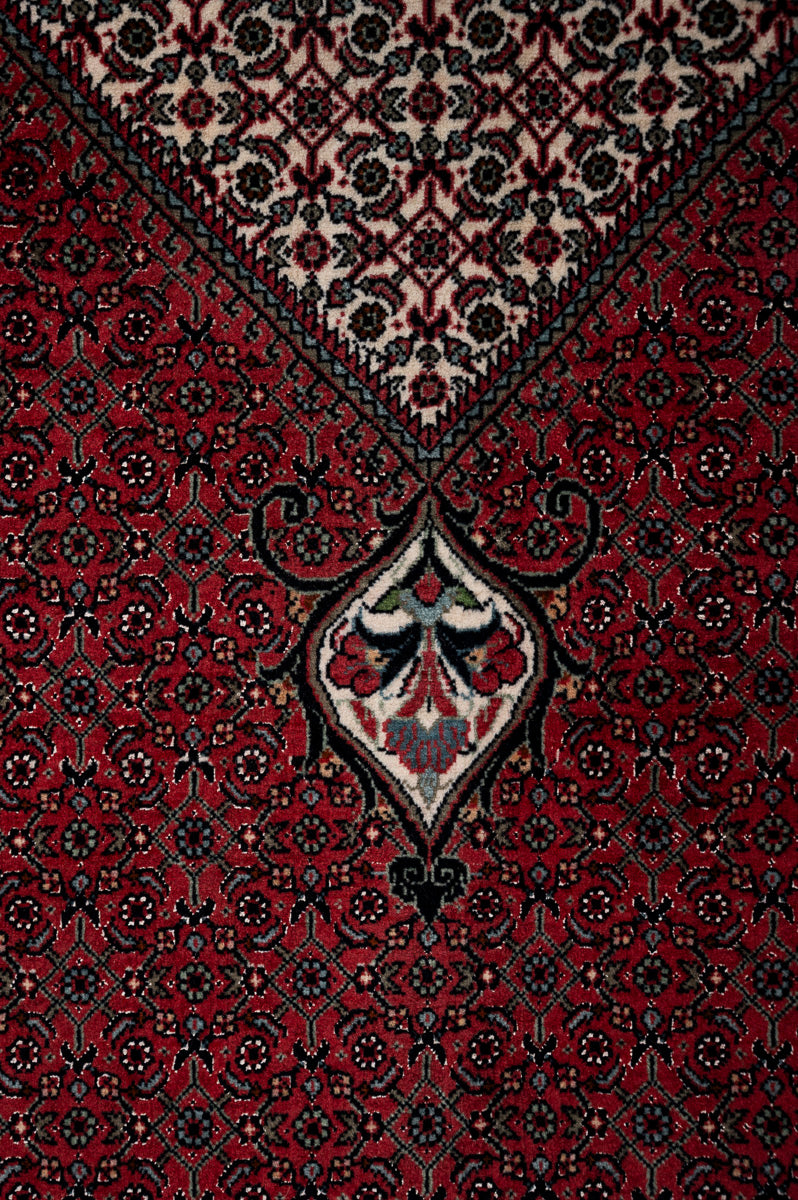 OXFORD Bidjar 400x305cm