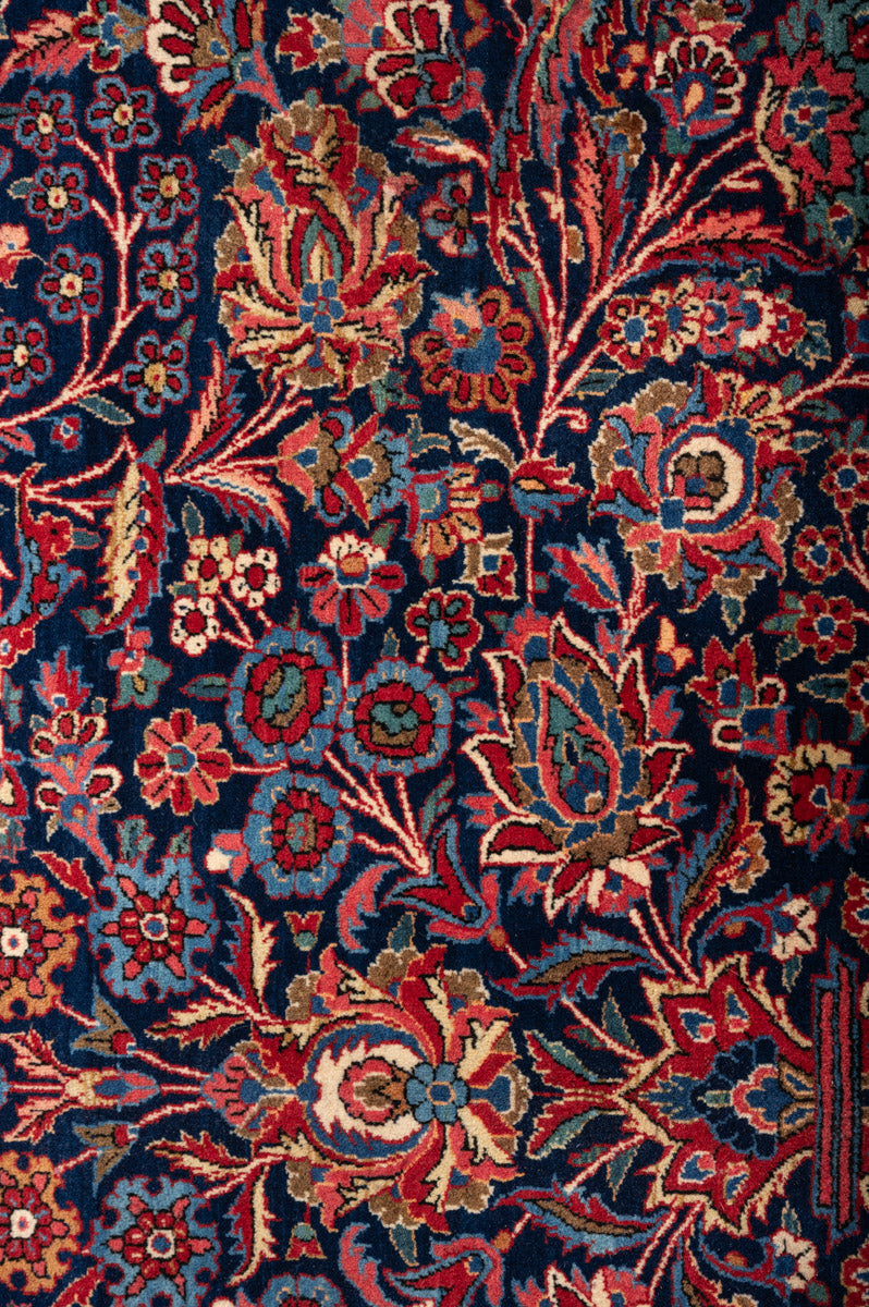 ELOISE Antique Qazvin 527x340cm