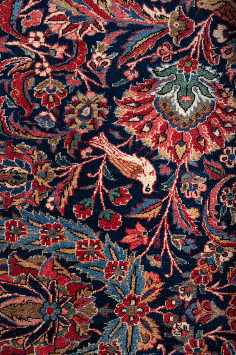ELOISE Antique Qazvin 527x340cm