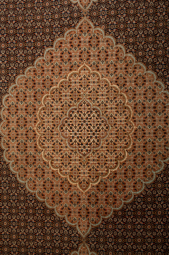 XIA Tabriz 50 Raj 300x250cm