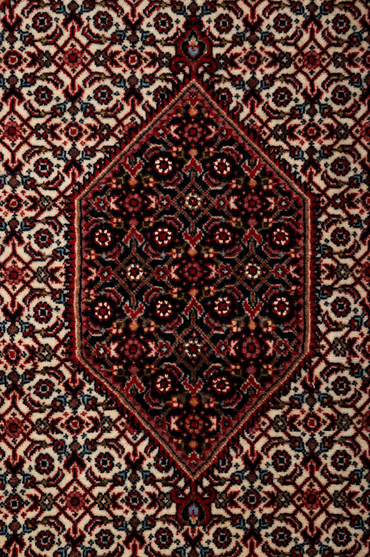 IVY 1  Bidjar 225x157cm