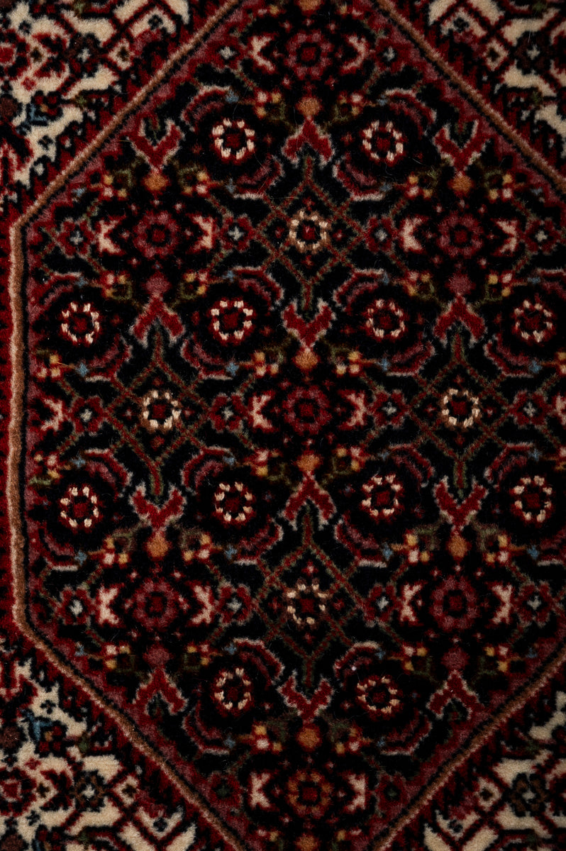 IVY 1  Bidjar 225x157cm